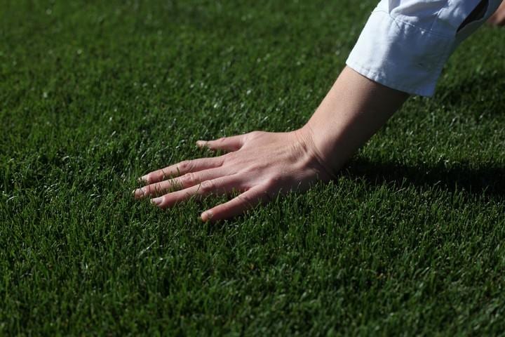 El abuelo descubrió un raigrás forrajero y ahora los nietos proveen el césped a los principales estadios del mundo